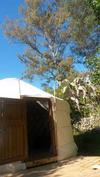 Outside Yurt: Secret Garden Retreat